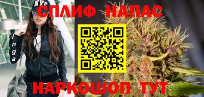 PSILOCYBIN Долгопрудный